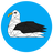 albatros_public_distrib